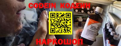 apvp Кингисепп