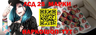 стафф Камышлов