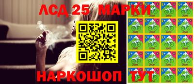 стафф Кимры