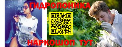 стафф Камышлов