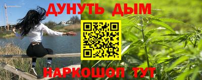 apvp Кингисепп