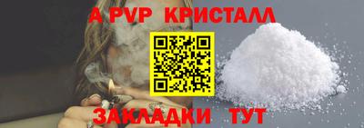 стафф Камышлов