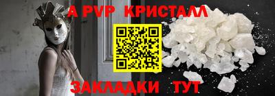 стафф Камышлов