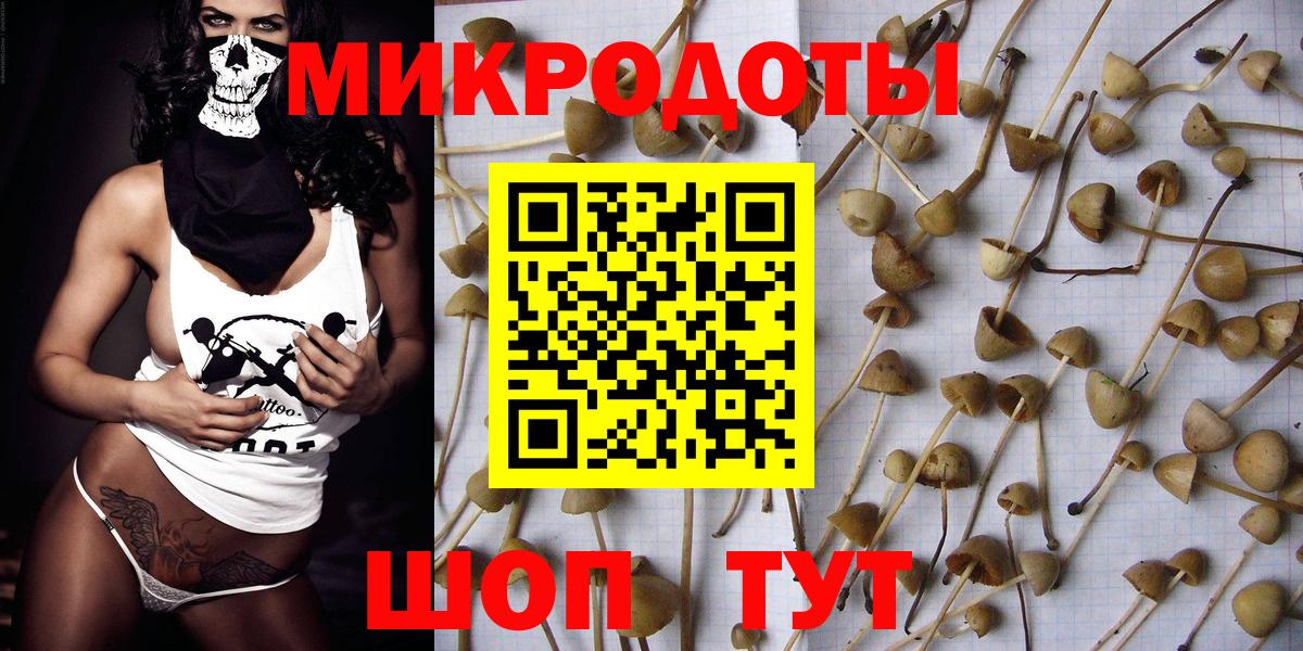 Галлюциногенные грибы GOLDEN TEACHER  закладки  Вход с VPN  Глазов  Галлюциногенные грибы Psilocybe 