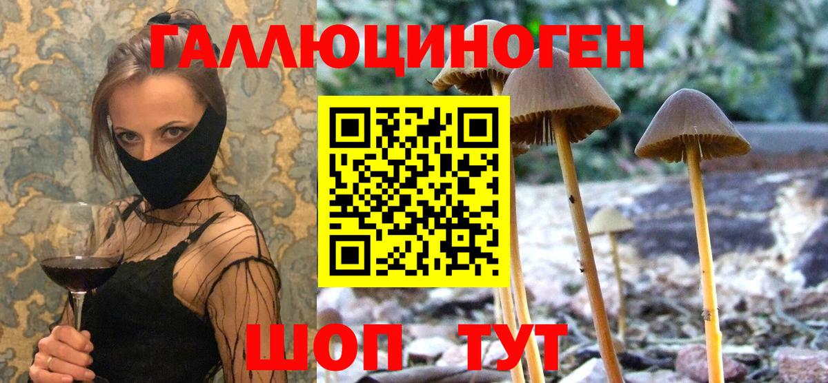 Галлюциногенные грибы GOLDEN TEACHER Глазов